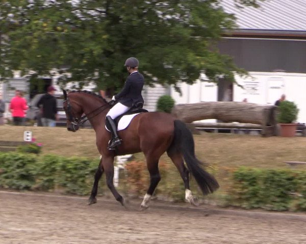 Reitturnier Olfen-Vinnum 2019