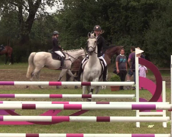 Reitturnier Sollerup 2019