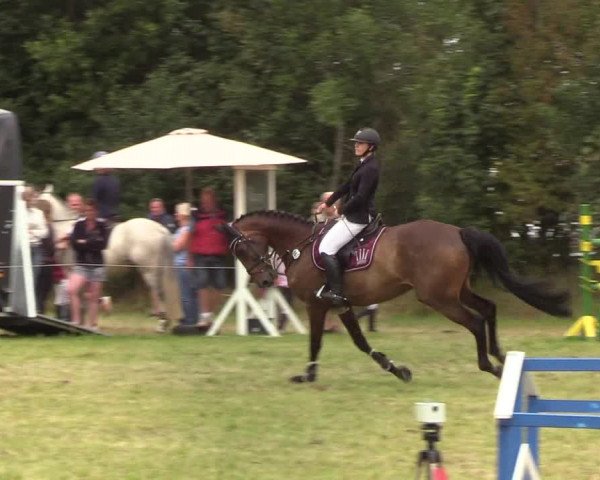 Reitturnier Sollerup 2019