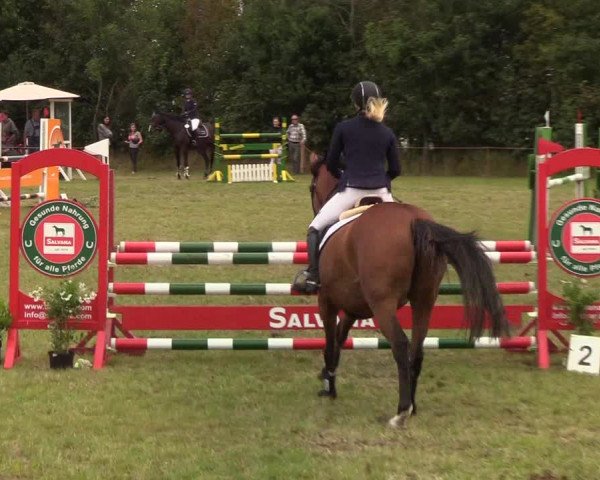 Reitturnier Sollerup 2019