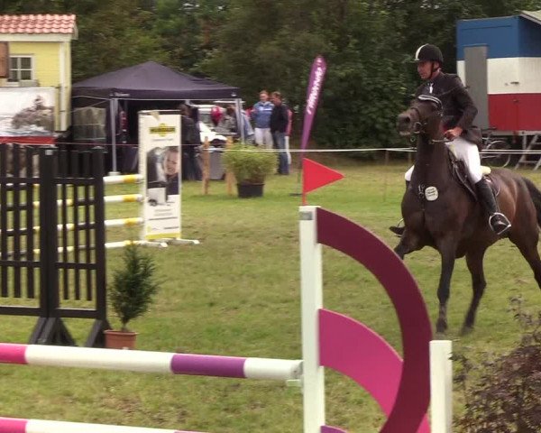 Reitturnier Sollerup 2019