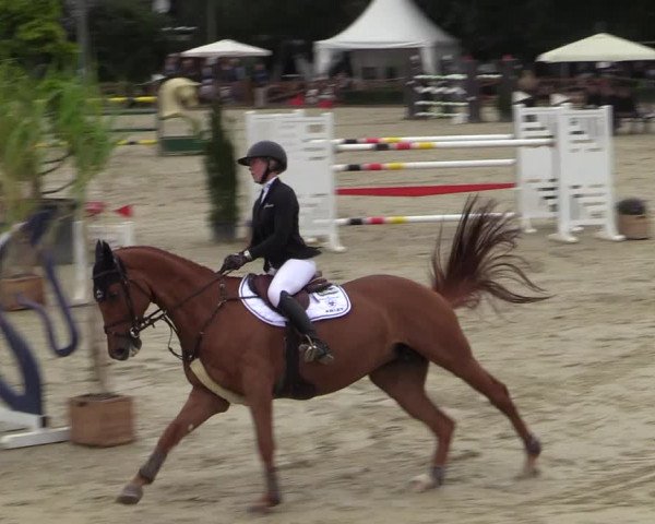 Equus Colonius - Reitanlage Brüse Köln 2021