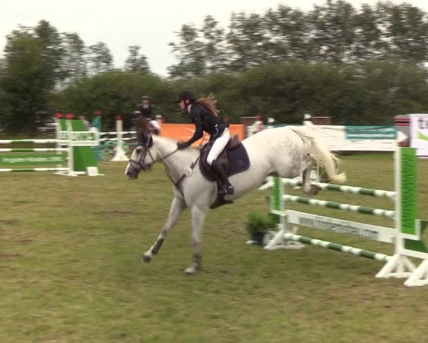 Reitturnier Sollerup 2019