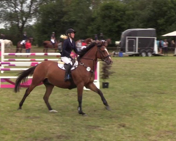 Reitturnier Sollerup 2019