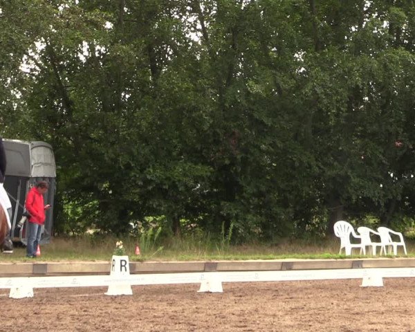 Reitturnier Dallgow 2019