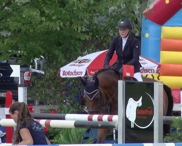 Reitturnier Jagstzell 2019