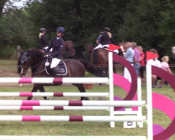 Reitturnier Sollerup 2019