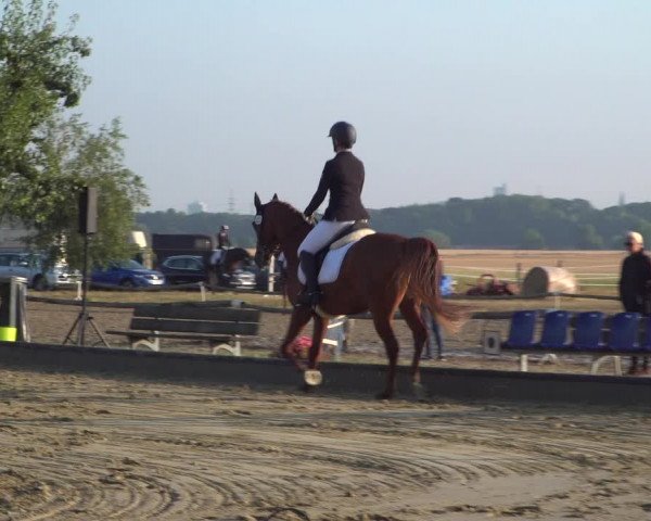 Reitturnier Neuss-Uedesheim 2019