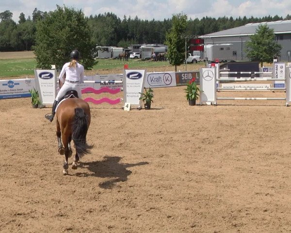 Reitturnier Jagstzell 2019