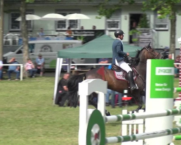 Reitturnier Zobbenitz 2019