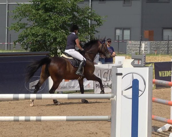 Reitturnier Jagstzell 2019