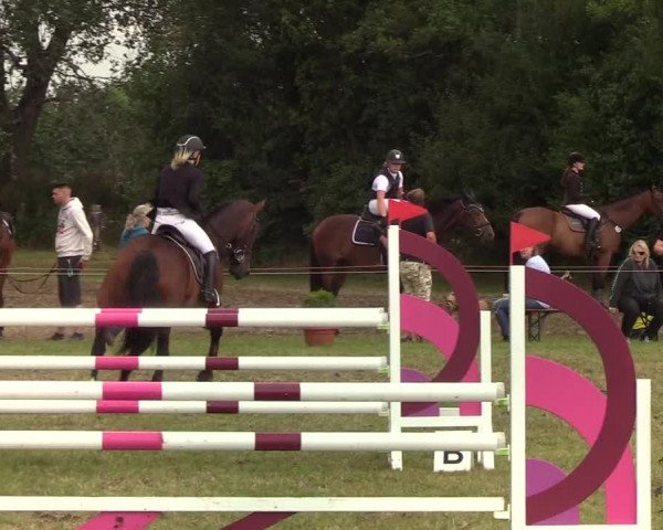 Reitturnier Sollerup 2019