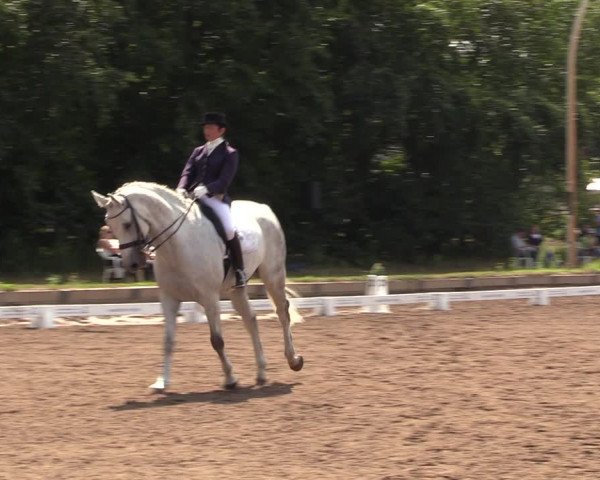 Reitturnier Dallgow 2019