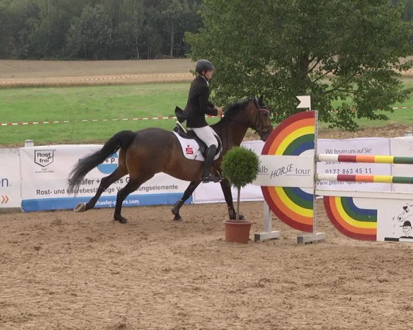 Reitturnier Jagstzell 2019