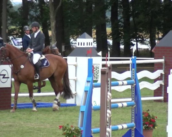 Reitturnier Zobbenitz 2019