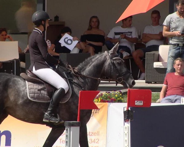Reitturnier Jagstzell 2019