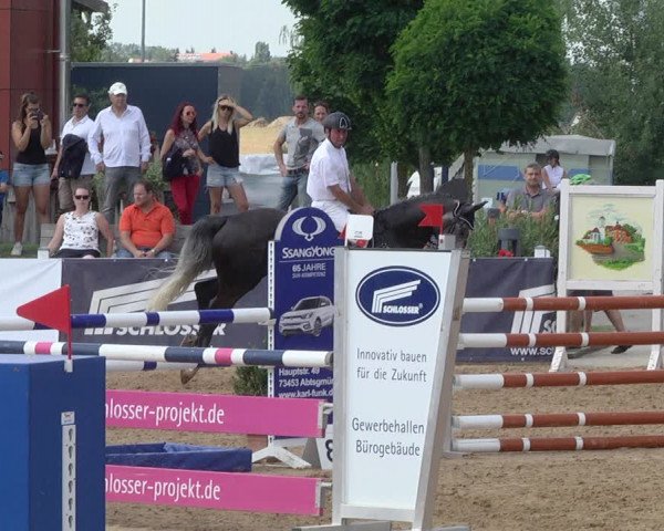 Reitturnier Jagstzell 2019