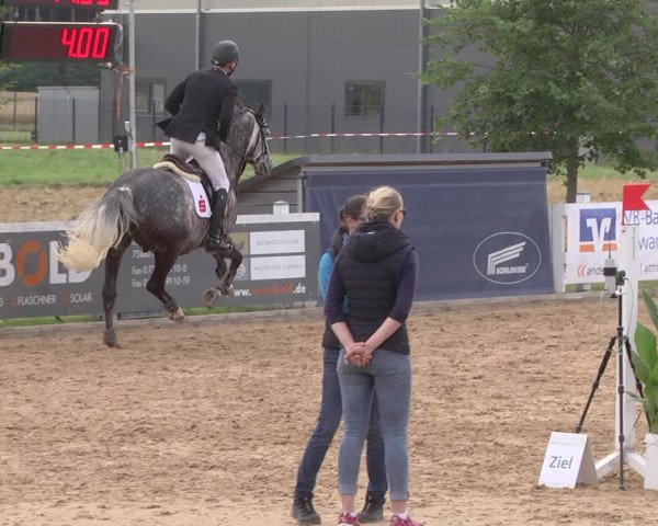 Reitturnier Jagstzell 2019