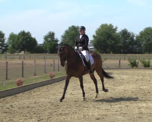 Reitturnier Neuss-Uedesheim 2019