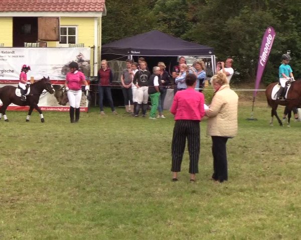 Reitturnier Sollerup 2019