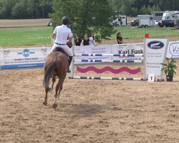 Reitturnier Jagstzell 2019