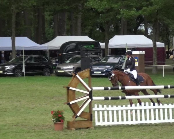 Reitturnier Zobbenitz 2019