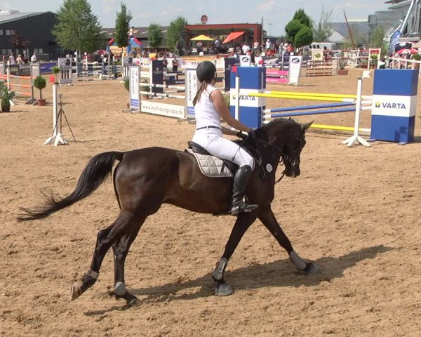 Reitturnier Jagstzell 2019