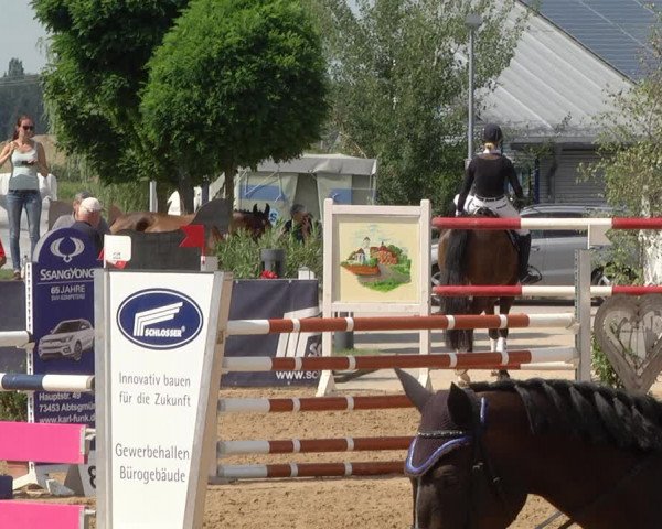 Reitturnier Jagstzell 2019