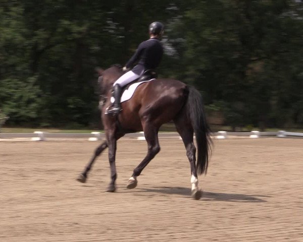 Reitturnier Olfen-Vinnum 2019