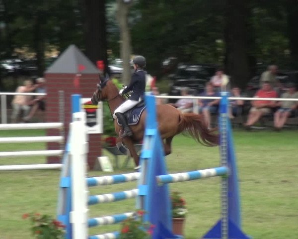 Reitturnier Zobbenitz 2019