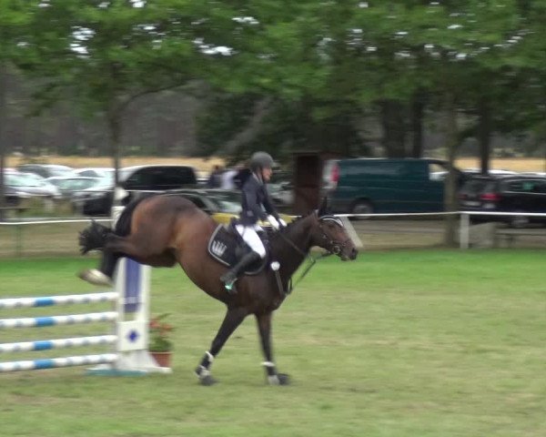 Reitturnier Zobbenitz 2019