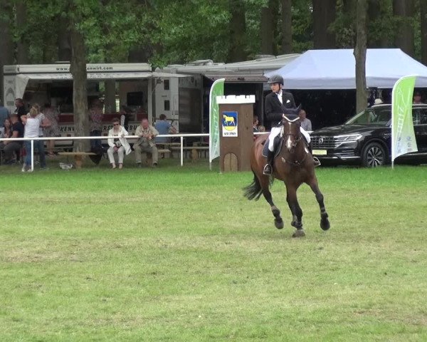Reitturnier Zobbenitz 2019