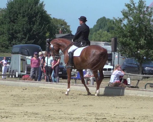 Reitturnier Neuss-Uedesheim 2019