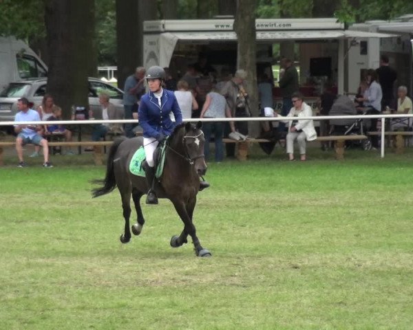 Reitturnier Zobbenitz 2019