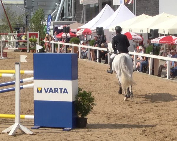 Reitturnier Jagstzell 2019