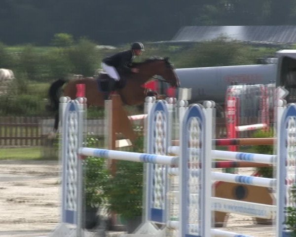 Reitturnier Schülp / Rendsburg 2019