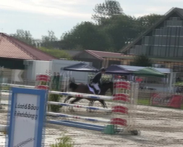 Reitturnier Schülp / Rendsburg 2019