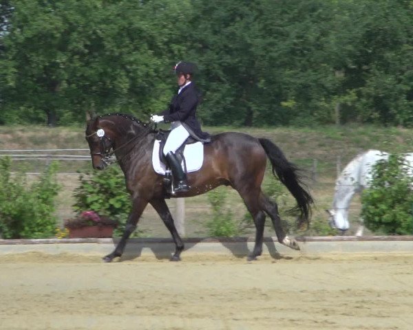 Reitturnier Neuss-Uedesheim 2019