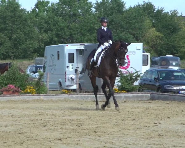 Reitturnier Neuss-Uedesheim 2019