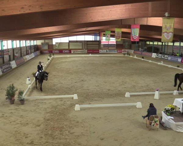 Steinhagen Classics 2021