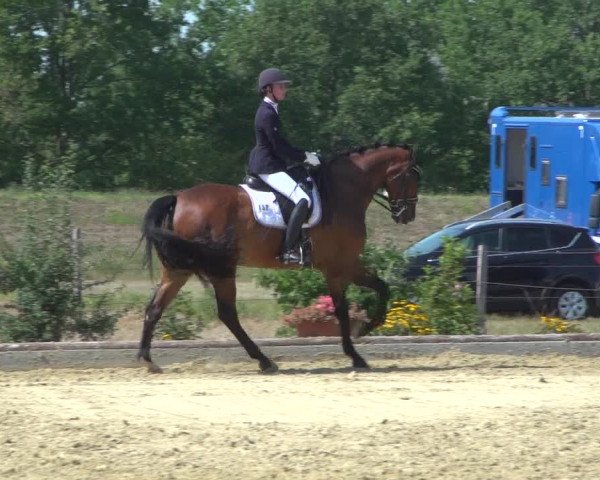 Reitturnier Neuss-Uedesheim 2019