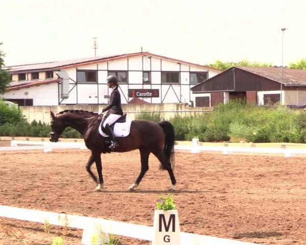 Reitturnier Dallgow 2019
