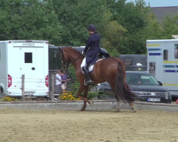 Reitturnier Neuss-Uedesheim 2019