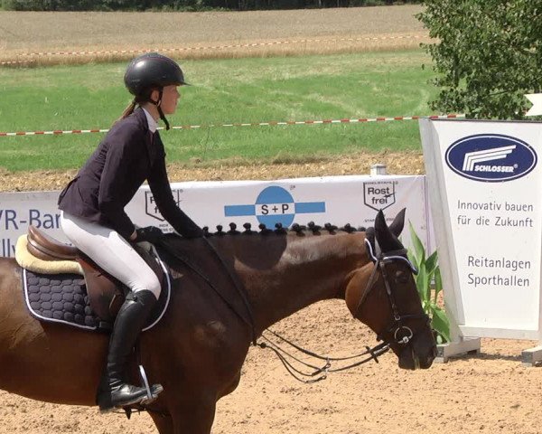 Reitturnier Jagstzell 2019