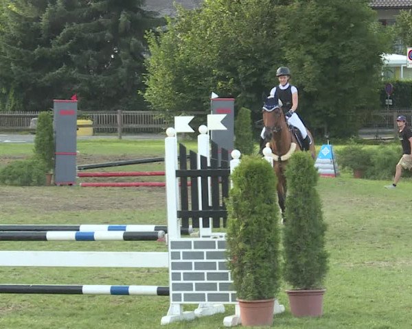 Reitturnier Langenthal 2019