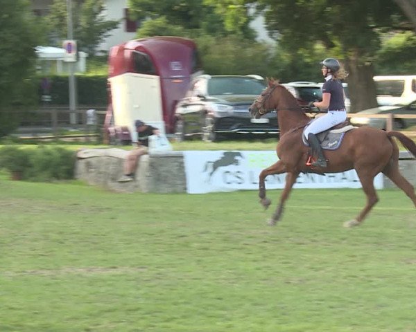 Reitturnier Langenthal 2019