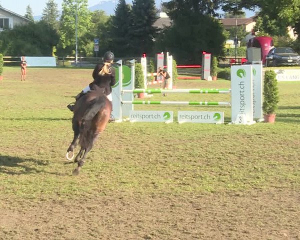 Reitturnier Langenthal 2019