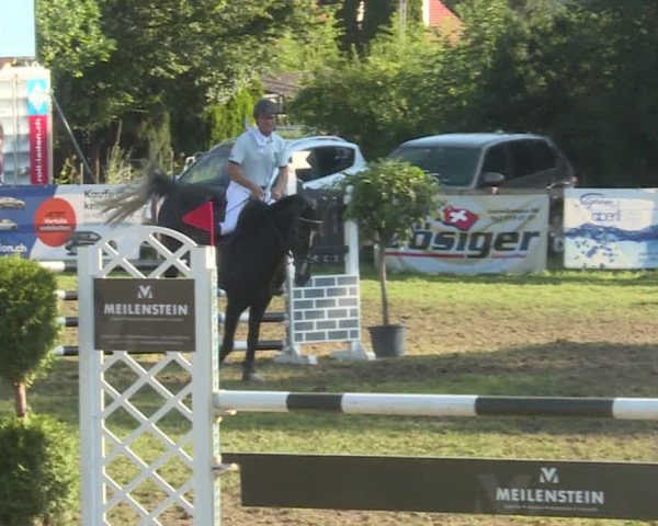 Reitturnier Langenthal 2019