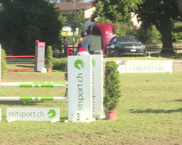 Reitturnier Langenthal 2019