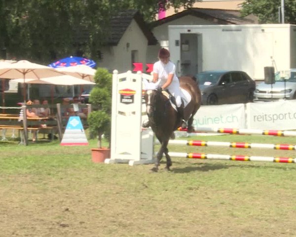Reitturnier Langenthal 2019